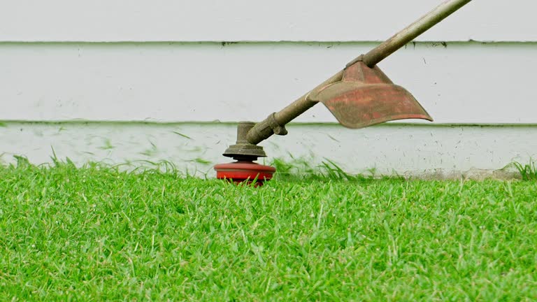 Grass Overseeding in Running Springs, CA